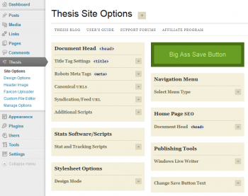 Thesis 1. Site Options