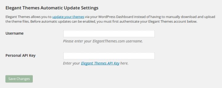 ElegantThemes Auto Updater Settings
